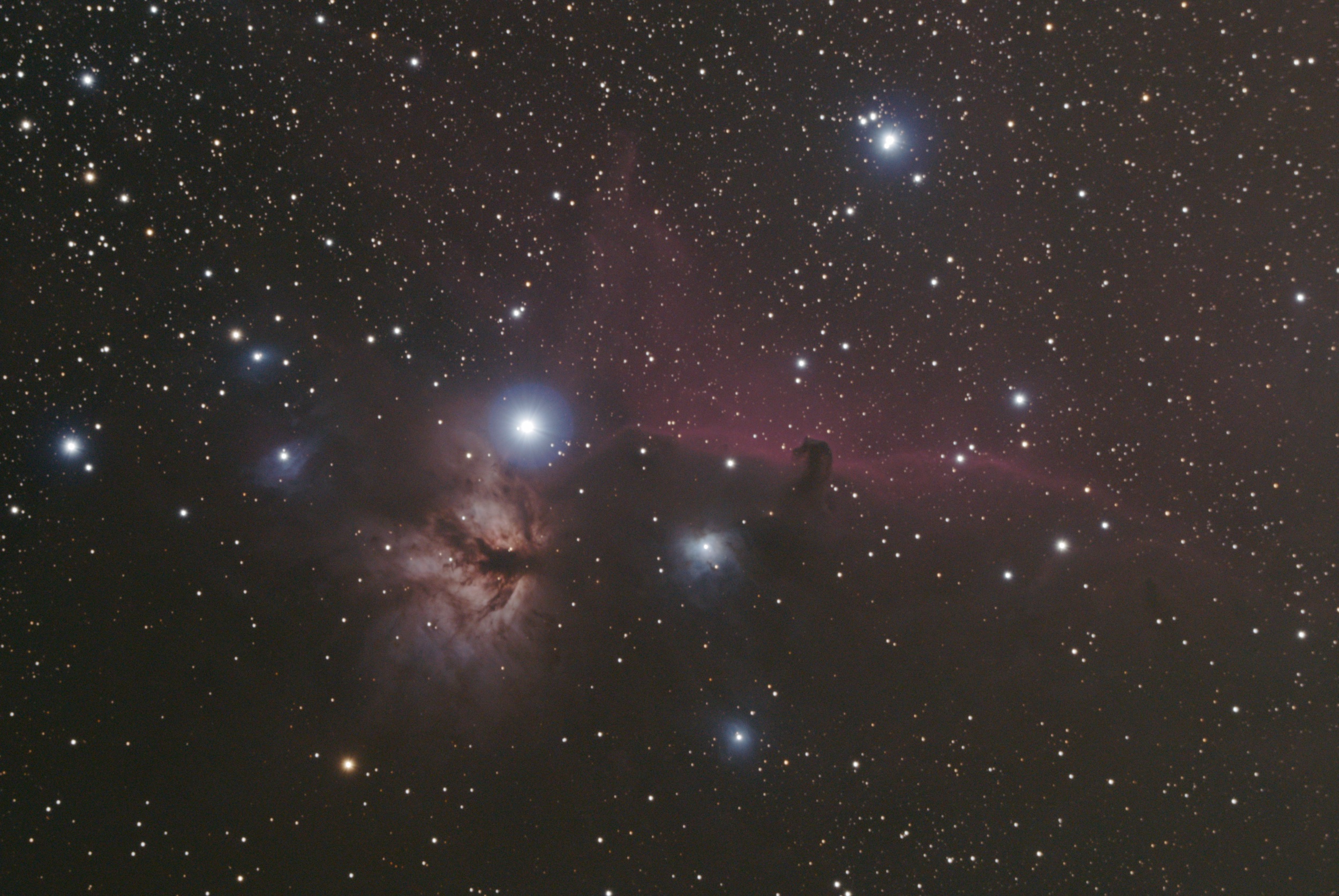 Horsehead Nebulae